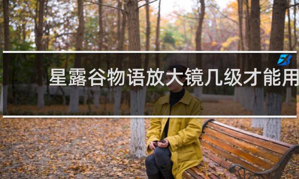 星露谷物语放大镜几级才能用