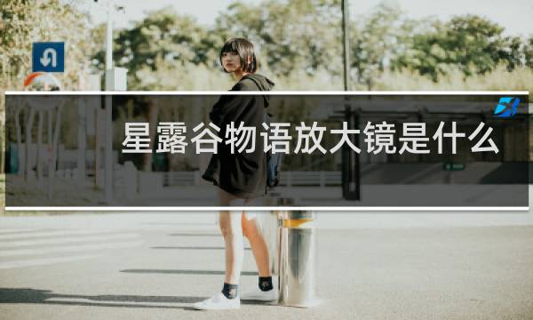 星露谷物语放大镜是什么