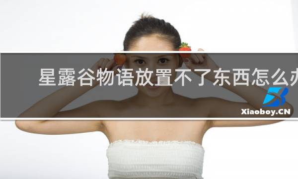 星露谷物语放置不了东西怎么办