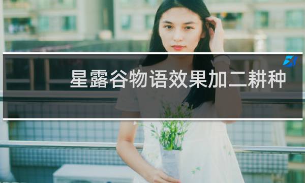 星露谷物语效果加二耕种