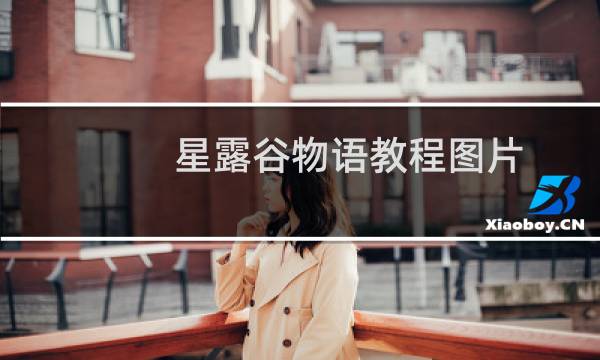 星露谷物语教程图片