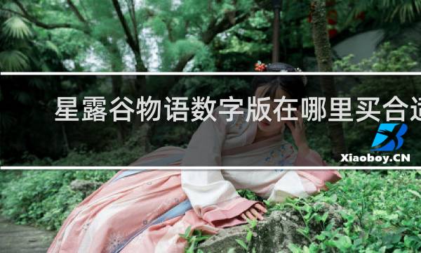 星露谷物语数字版在哪里买合适