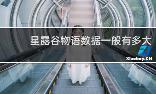 星露谷物语数据一般有多大