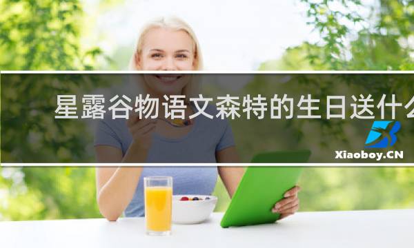 星露谷物语文森特的生日送什么