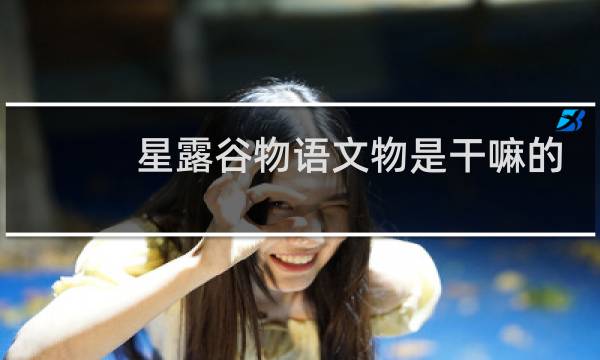 星露谷物语文物是干嘛的
