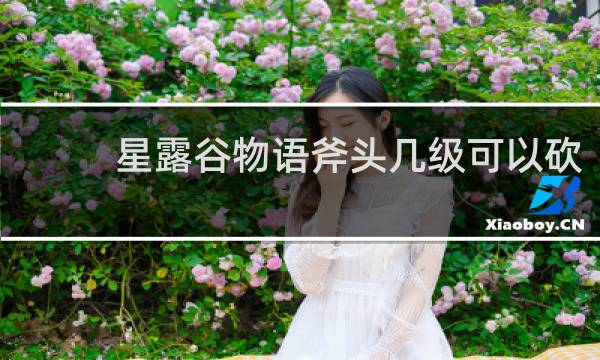 星露谷物语斧头几级可以砍