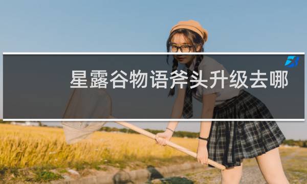 星露谷物语斧头升级去哪