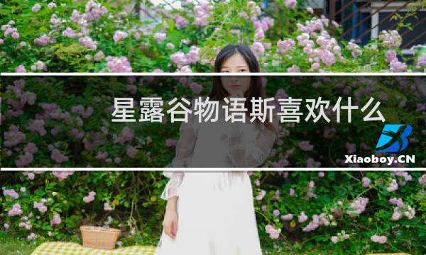 星露谷物语斯喜欢什么