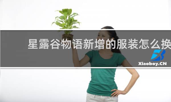星露谷物语新增的服装怎么换