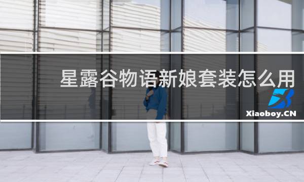 星露谷物语新娘套装怎么用