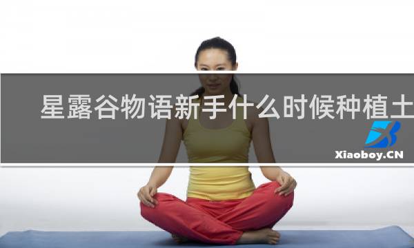 星露谷物语新手什么时候种植土豆