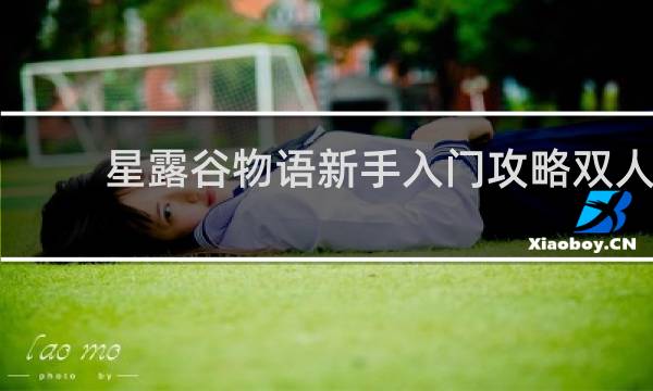 星露谷物语新手入门攻略双人