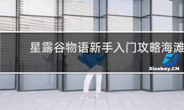 星露谷物语新手入门攻略海滩