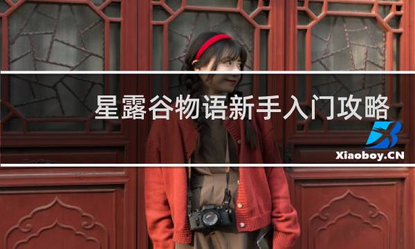 星露谷物语新手入门攻略