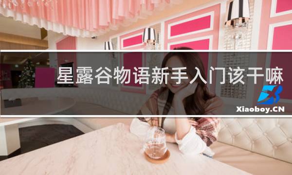 星露谷物语新手入门该干嘛