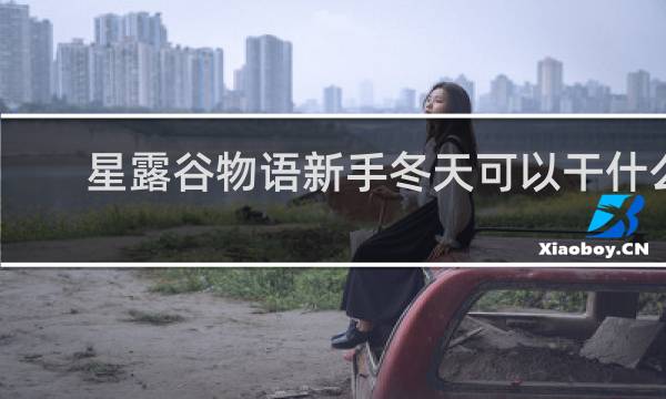 星露谷物语新手冬天可以干什么