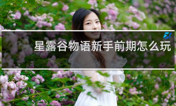 星露谷物语新手前期怎么玩