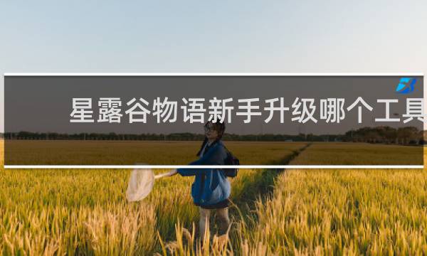 星露谷物语新手升级哪个工具