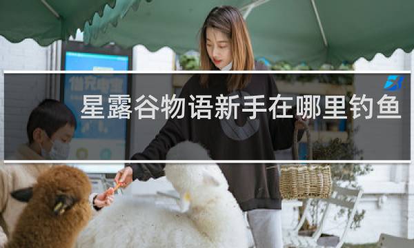 星露谷物语新手在哪里钓鱼