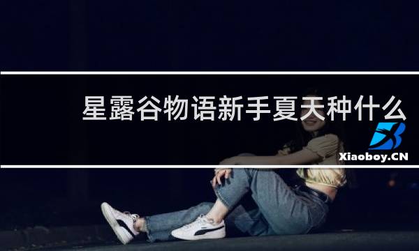 星露谷物语新手夏天种什么