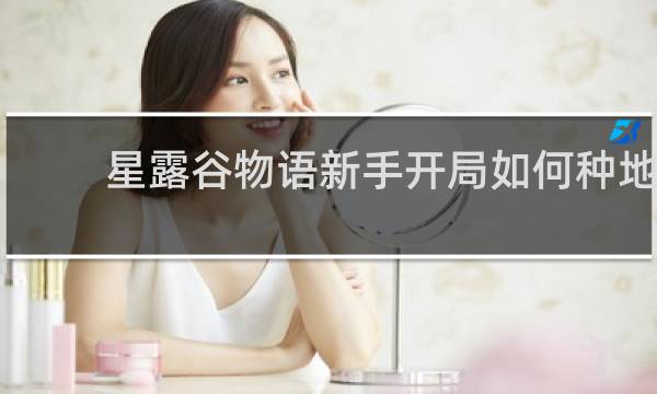 星露谷物语新手开局如何种地