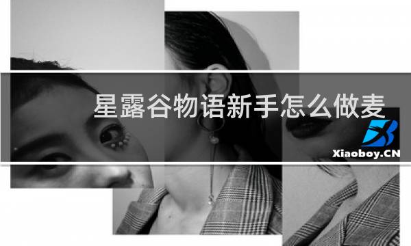 星露谷物语新手怎么做麦