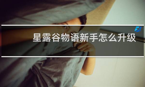星露谷物语新手怎么升级