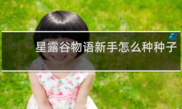 星露谷物语新手怎么种种子