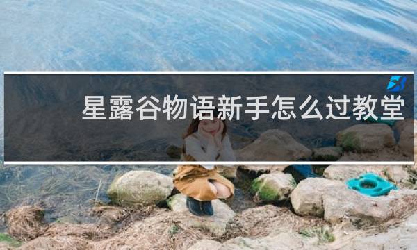 星露谷物语新手怎么过教堂