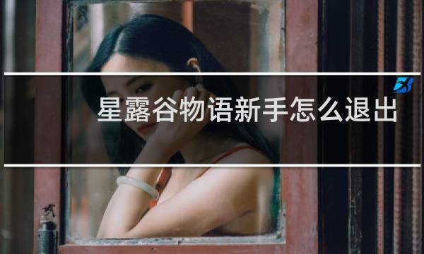 星露谷物语新手怎么退出