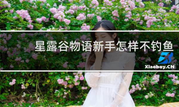 星露谷物语新手怎样不钓鱼