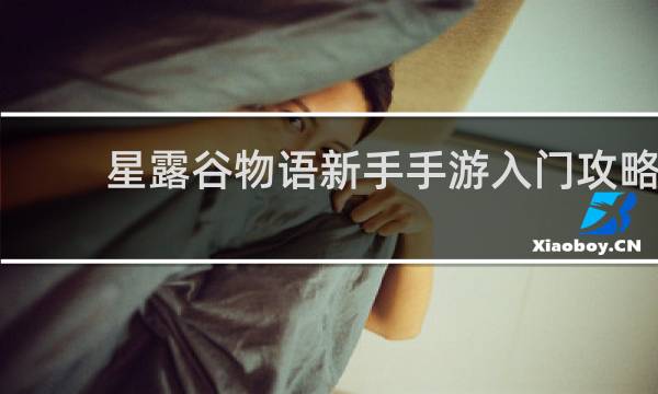 星露谷物语新手手游入门攻略