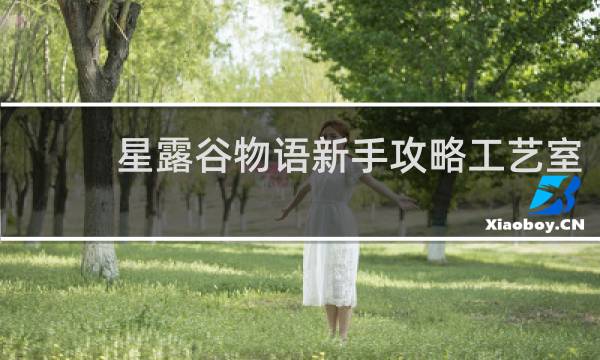 星露谷物语新手攻略工艺室