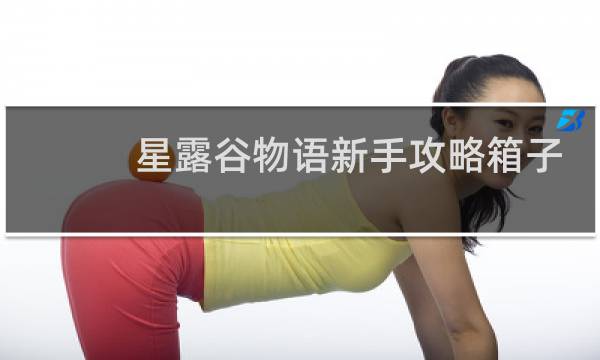 星露谷物语新手攻略箱子