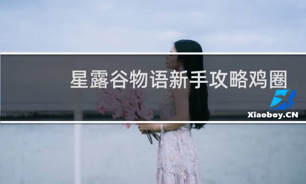 星露谷物语新手攻略鸡圈