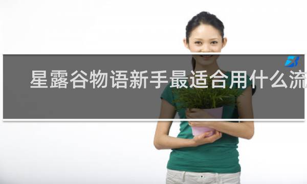 星露谷物语新手最适合用什么流派