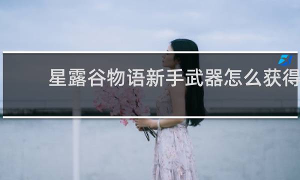 星露谷物语新手武器怎么获得