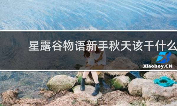 星露谷物语新手秋天该干什么