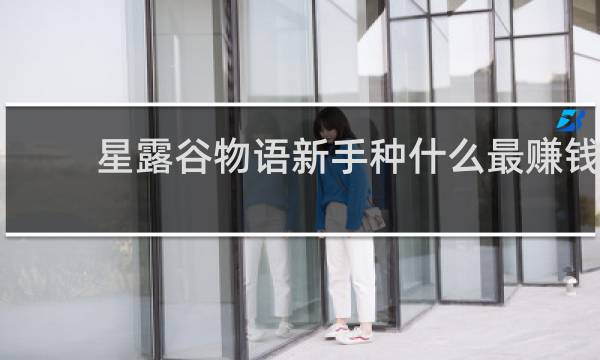 星露谷物语新手种什么最赚钱