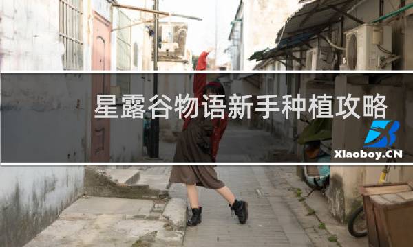 星露谷物语新手种植攻略