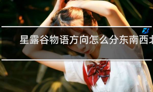 星露谷物语方向怎么分东南西北