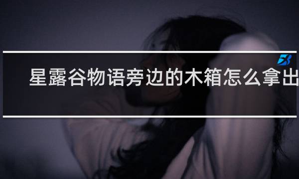 星露谷物语旁边的木箱怎么拿出来