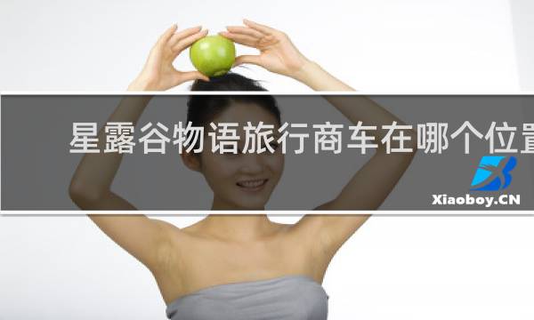 星露谷物语旅行商车在哪个位置