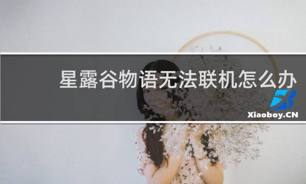 星露谷物语无法联机怎么办