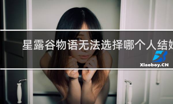 星露谷物语无法选择哪个人结婚