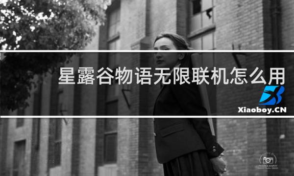 星露谷物语无限联机怎么用