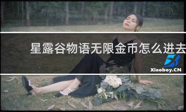 星露谷物语无限金币怎么进去