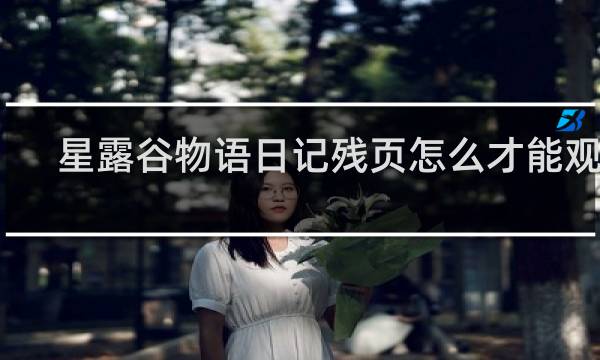 星露谷物语日记残页怎么才能观看