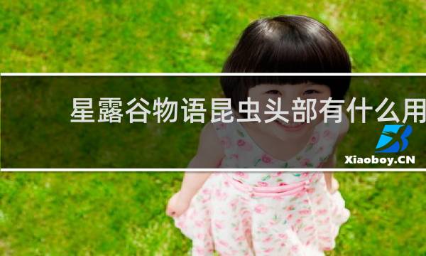 星露谷物语昆虫头部有什么用