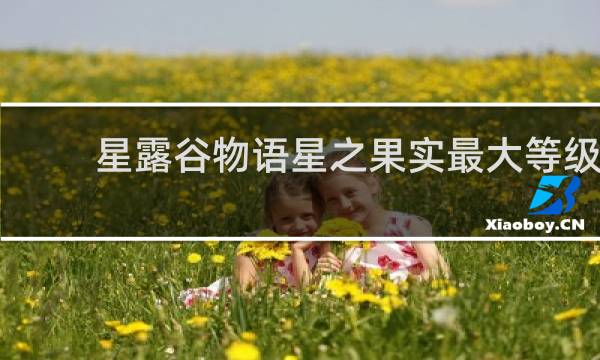 星露谷物语星之果实最大等级
